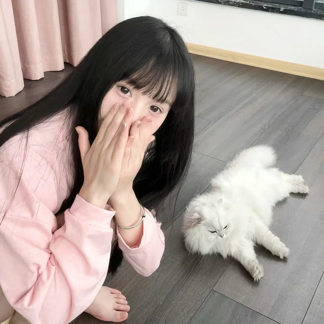 突击隆美尔